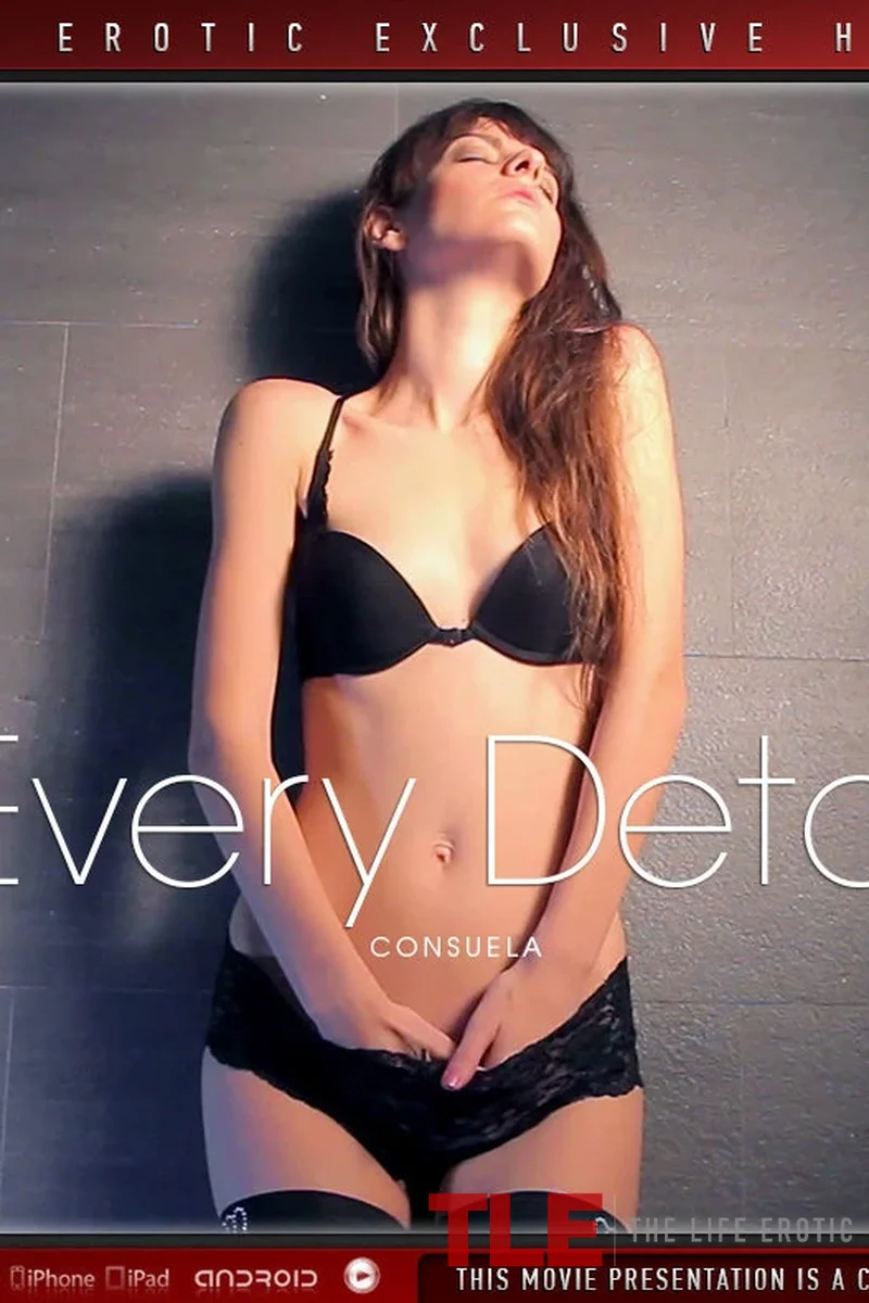 Every Detail - Screenshot 1 of 4 - All Sex