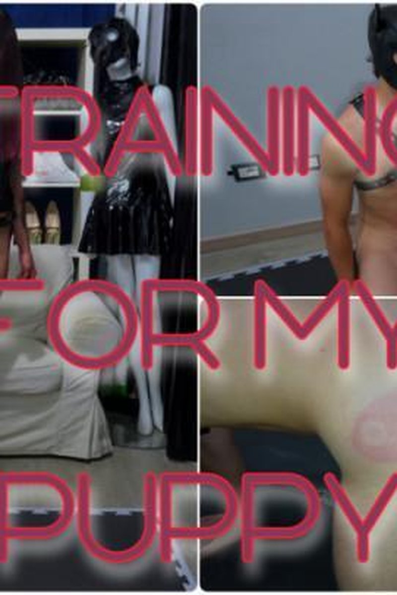 Training For My Object - Screenshot 1 of 4 - Femdom