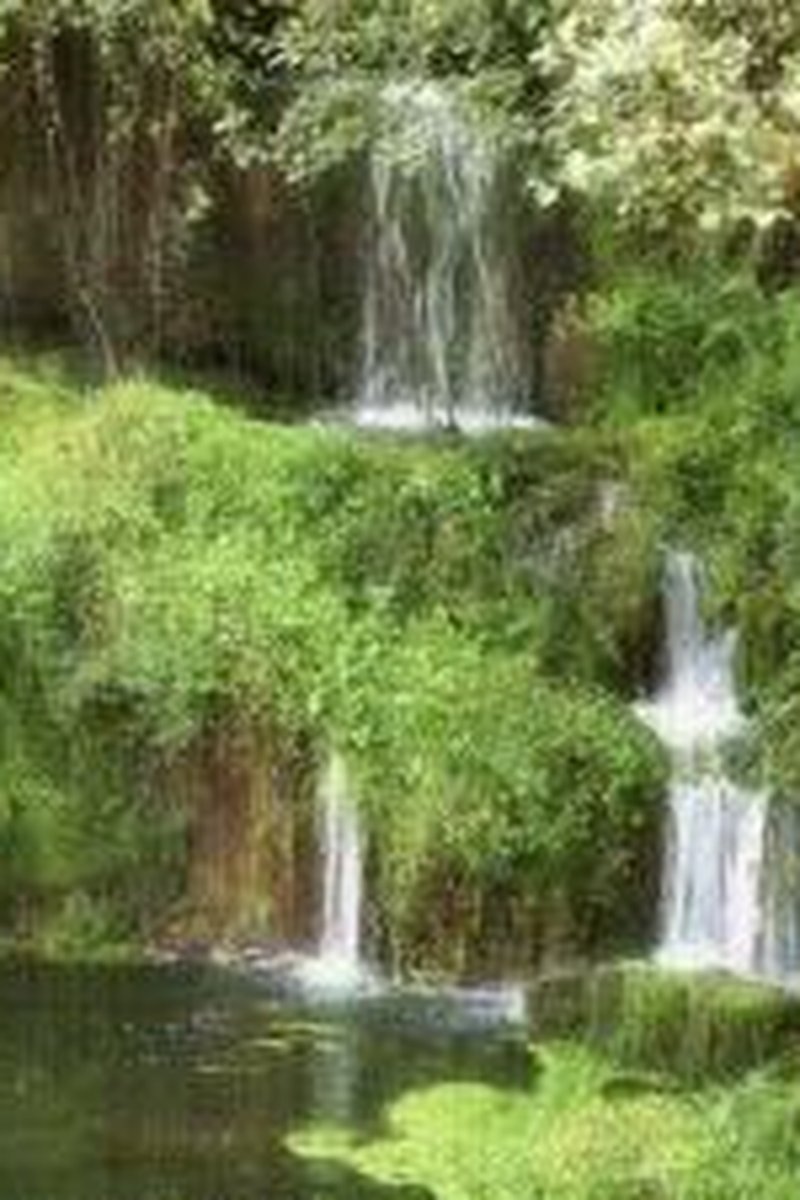 Eden - Screenshot 1 of 4 - BBW