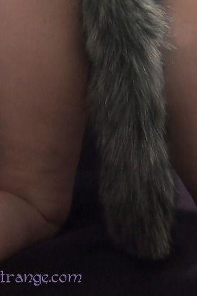 Shiloh Strange Inserts Tail Buttplug - Screenshot 1 of 4 - Anal