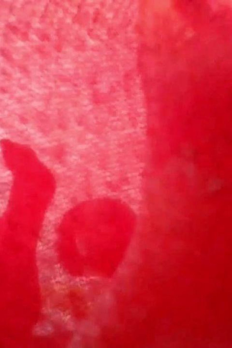 Nylons Worship - Screenshot 1 of 4 - Bored