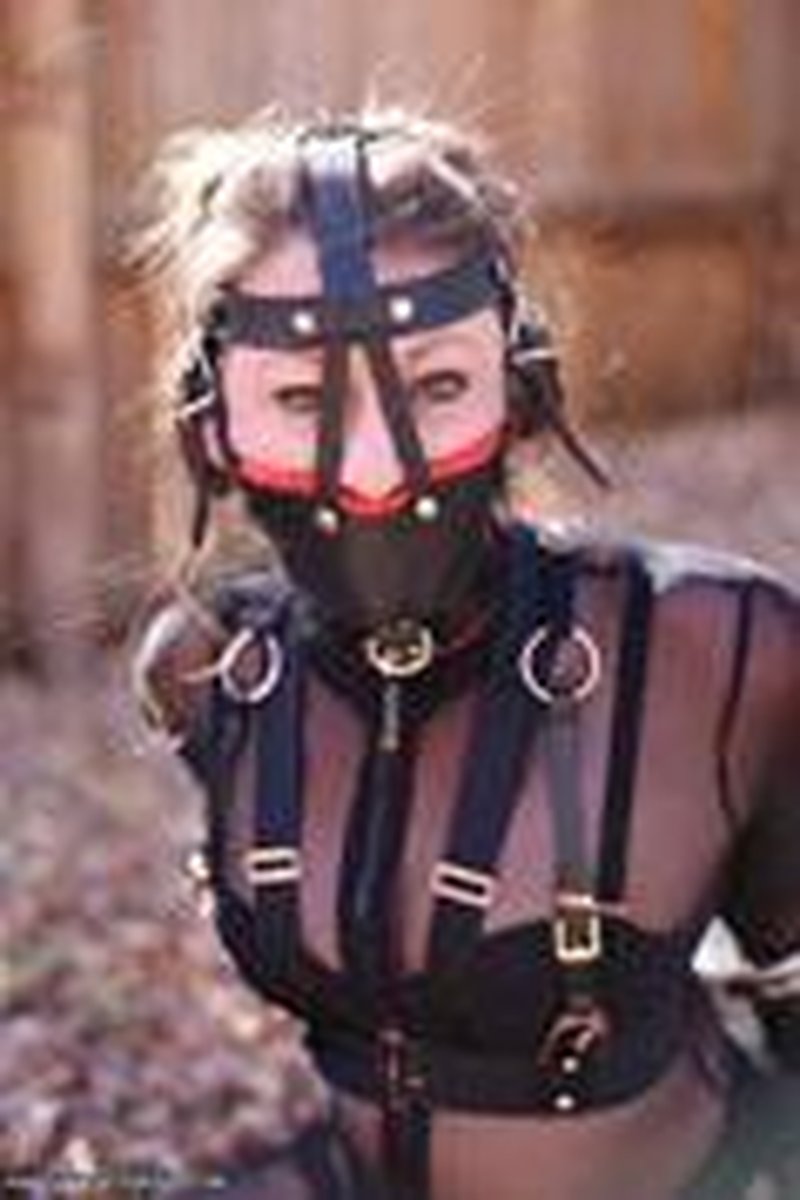 Hogcuffed Honey - Screenshot 1 of 4 - Bondage