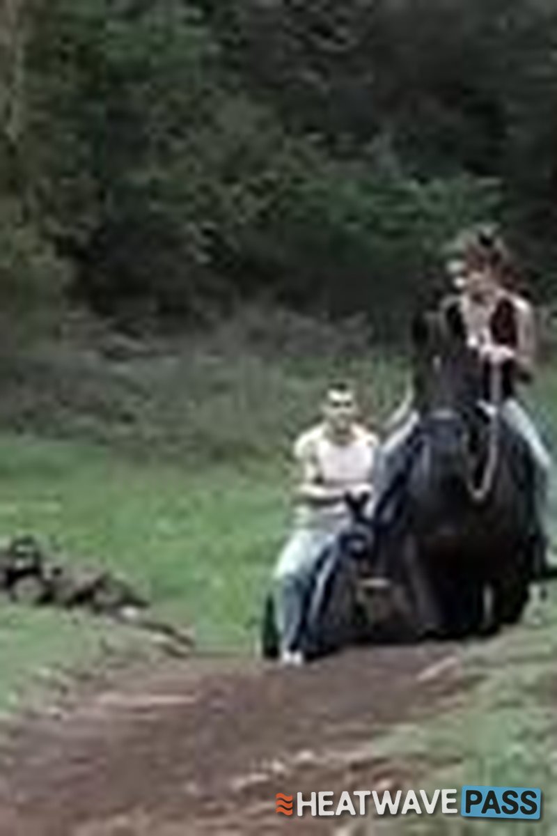 Horny Chicks Love Fucking Outside - Screenshot 1 of 4 - Anal