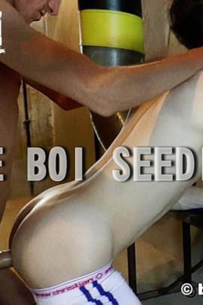 Bare Boy Seeding - Screenshot 1 of 4 - Anal