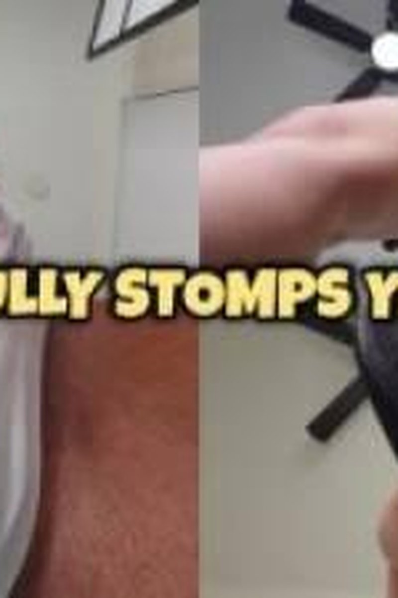 School Bully Stomps Your Balls - Screenshot 1 of 4 - Bully