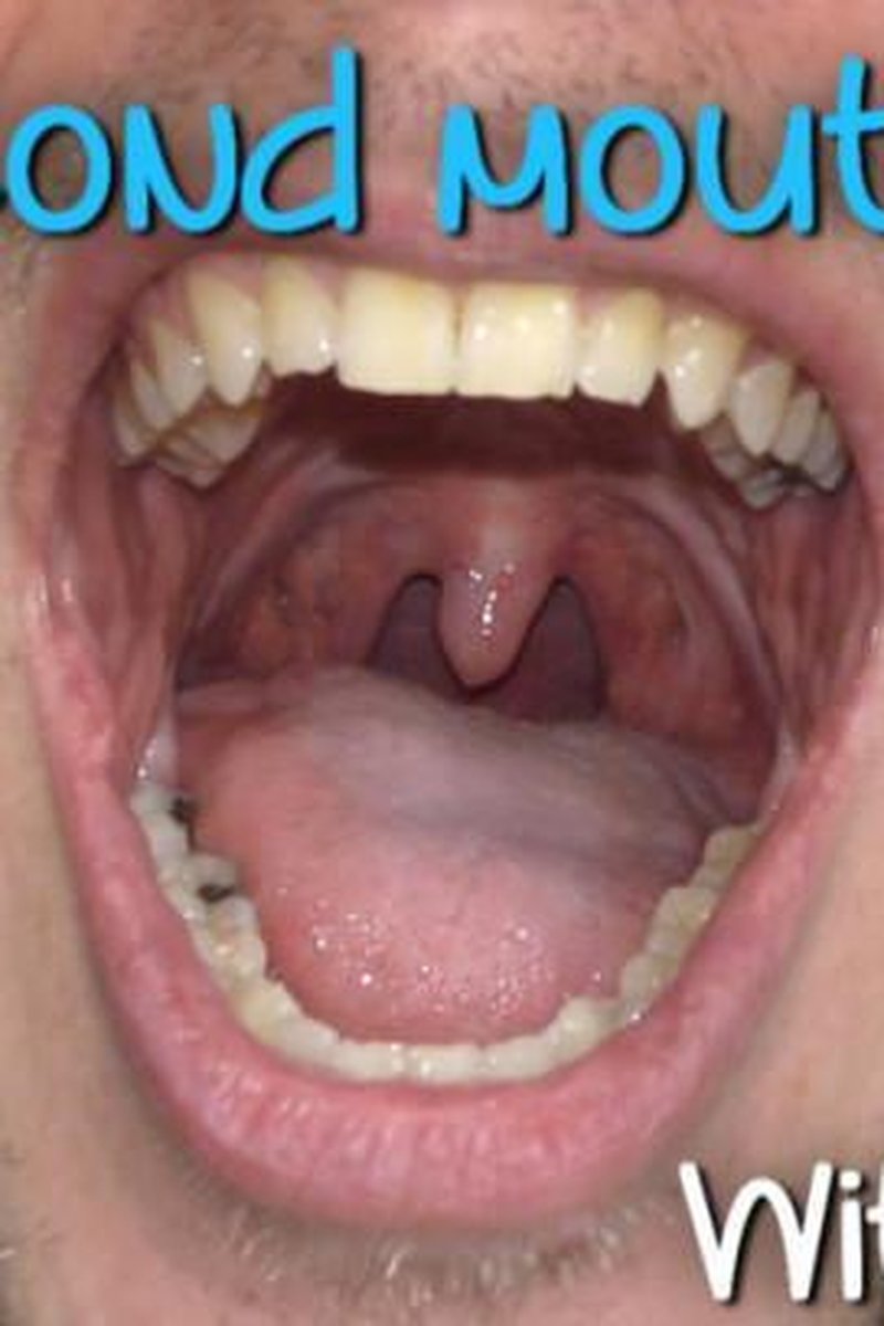 His Second Mouth Tour - Kevin Wang - Screenshot 1 of 4 - Gay
