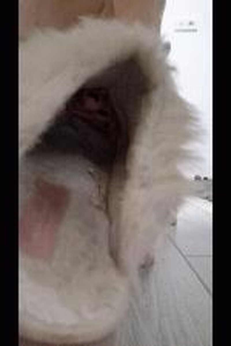 Long Toe Nails - Screenshot 1 of 4 - Foot Fetish