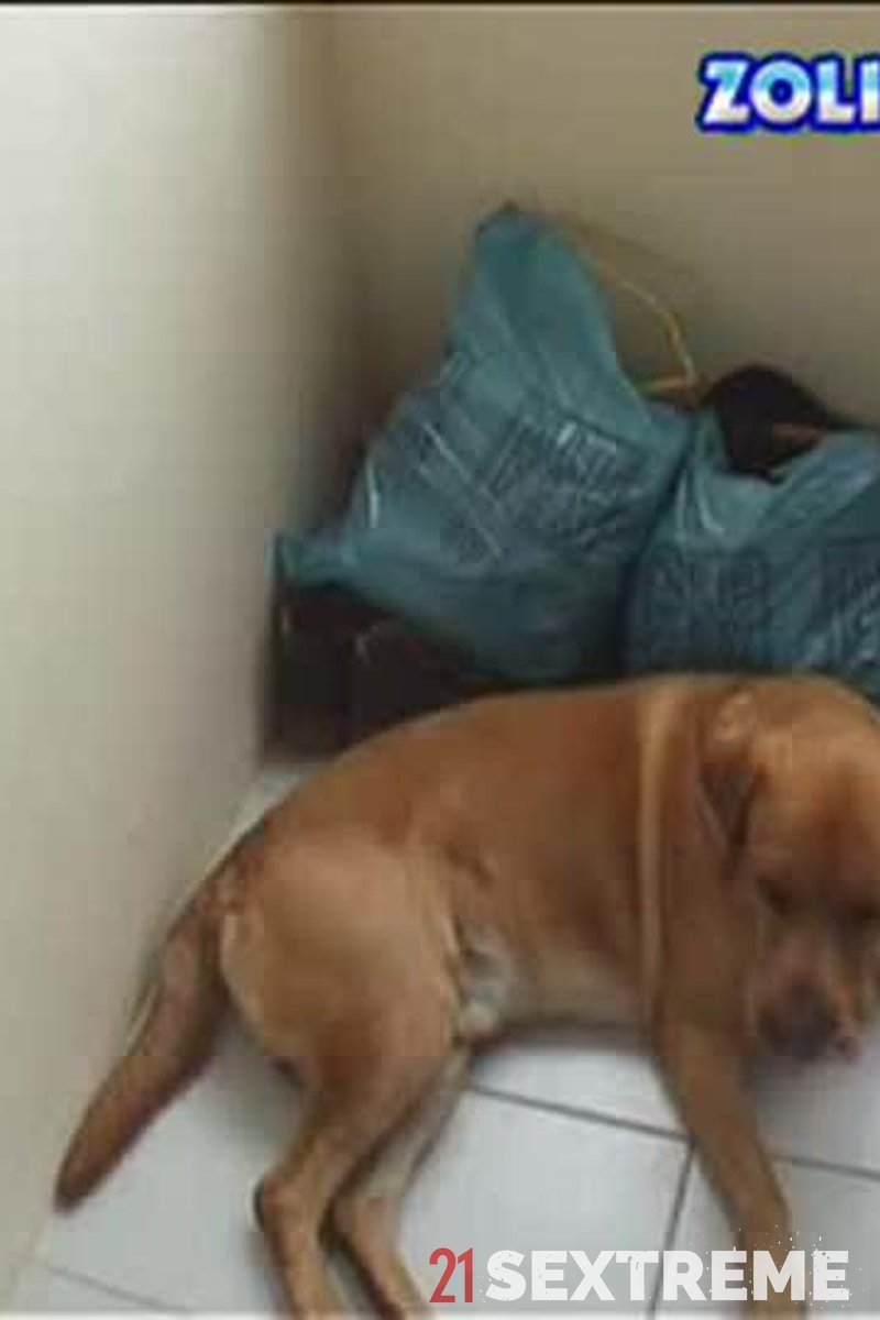 Double Dick-Teasing - Screenshot 1 of 4 - Amateur