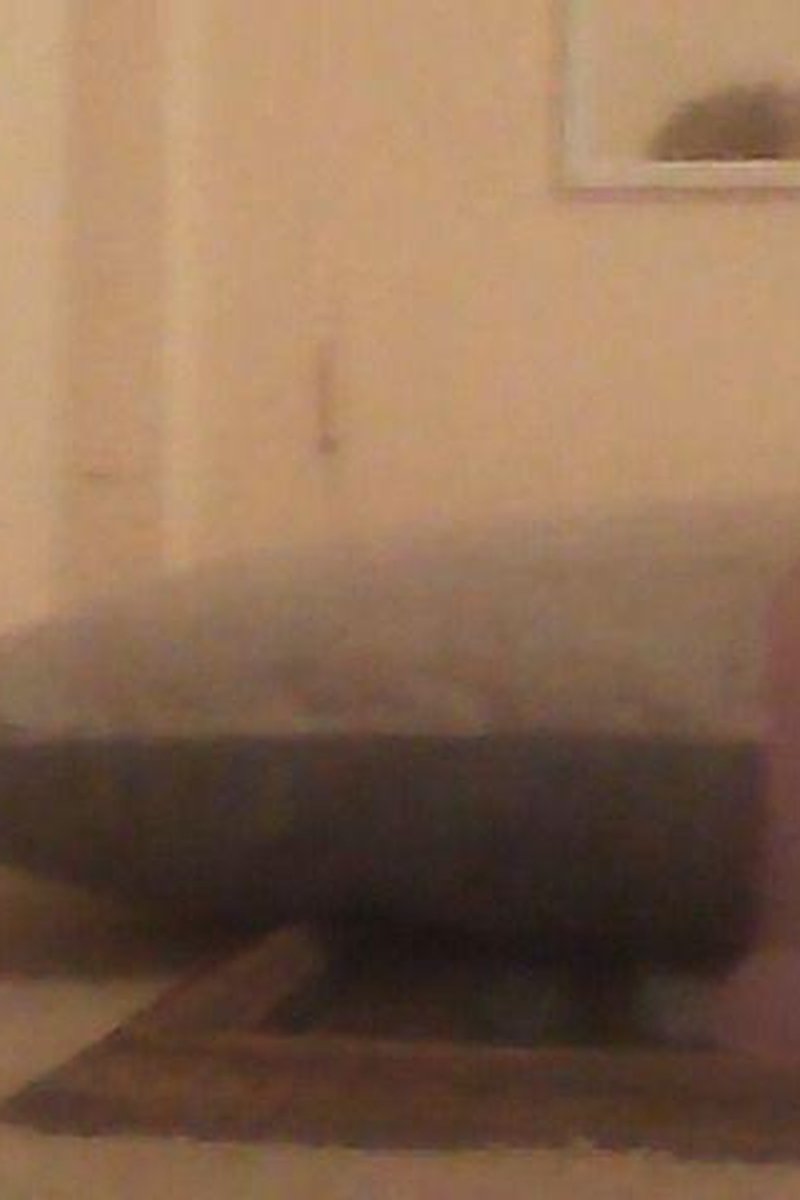 Live Vid - Screenshot 1 of 4 - BBW