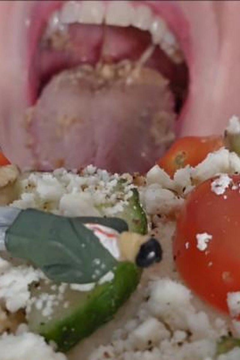 Tiny Is Toast - Screenshot 1 of 4 - Chewing