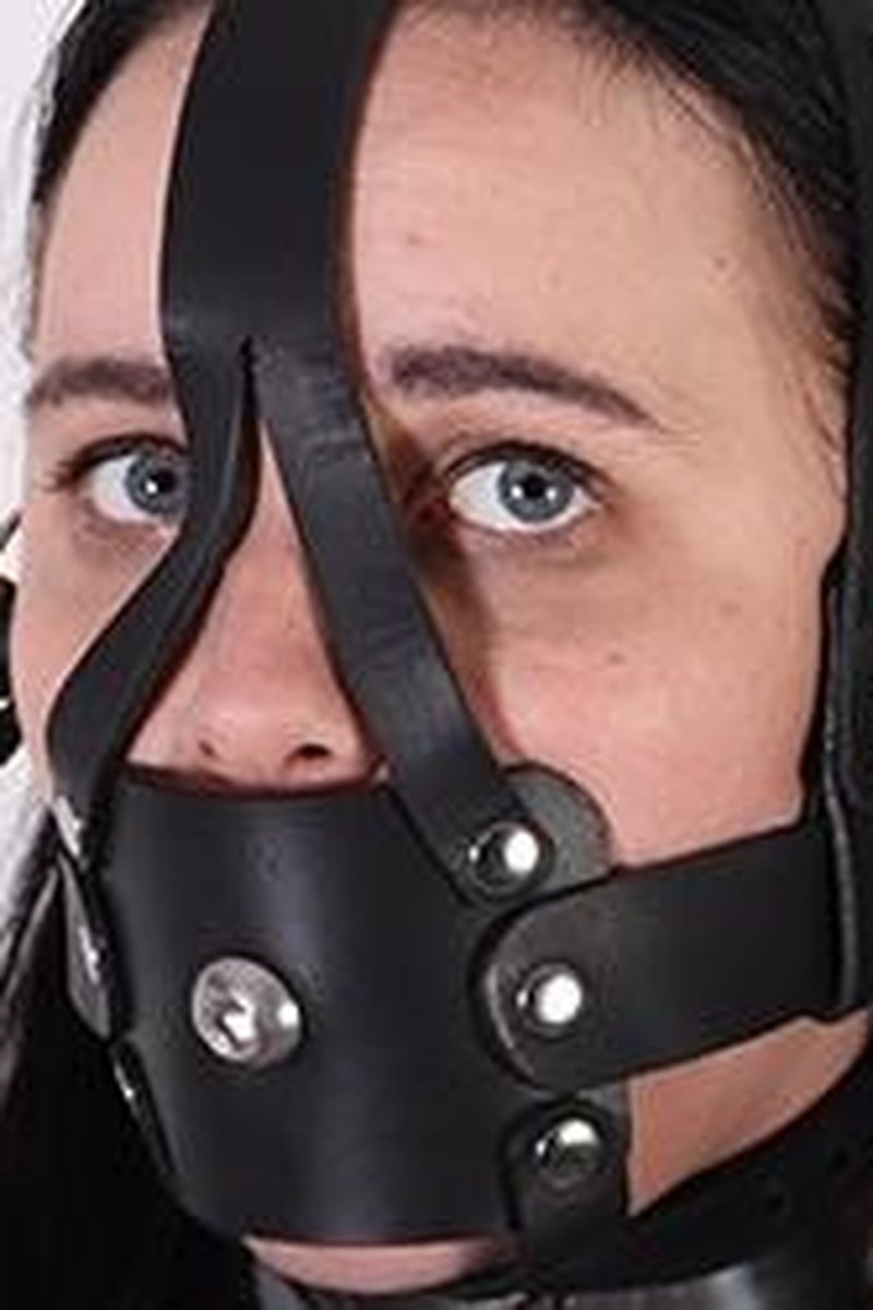 Locking Harness Gag - Screenshot 1 of 4