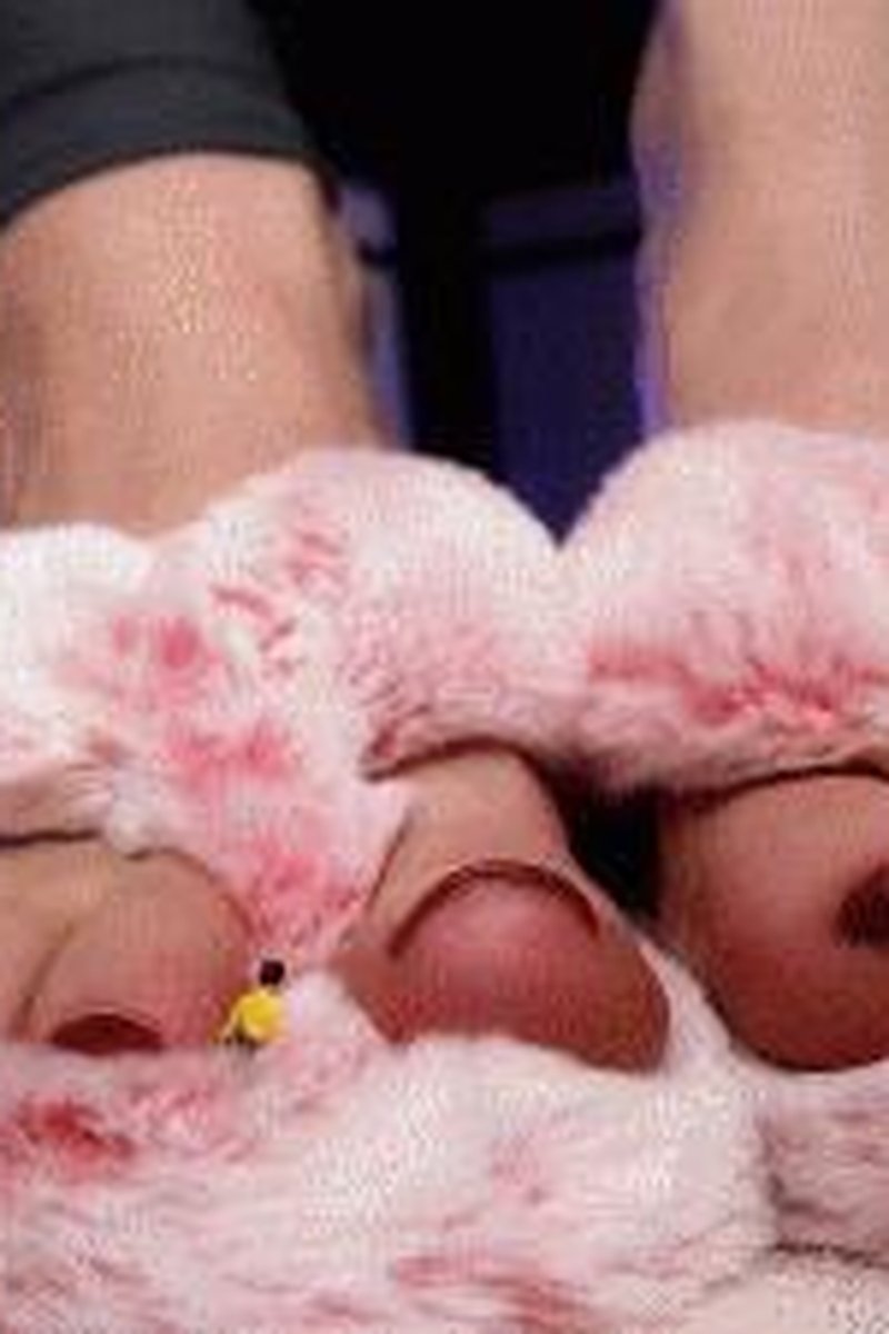 Fuzzy Slipper Discipline - Screenshot 1 of 4 - Family Roleplay