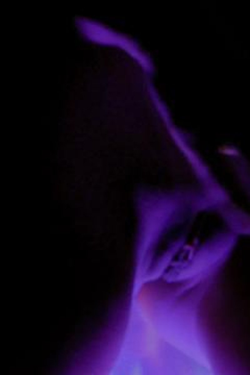 Silhouette - Screenshot 1 of 4 - Ass Fetish