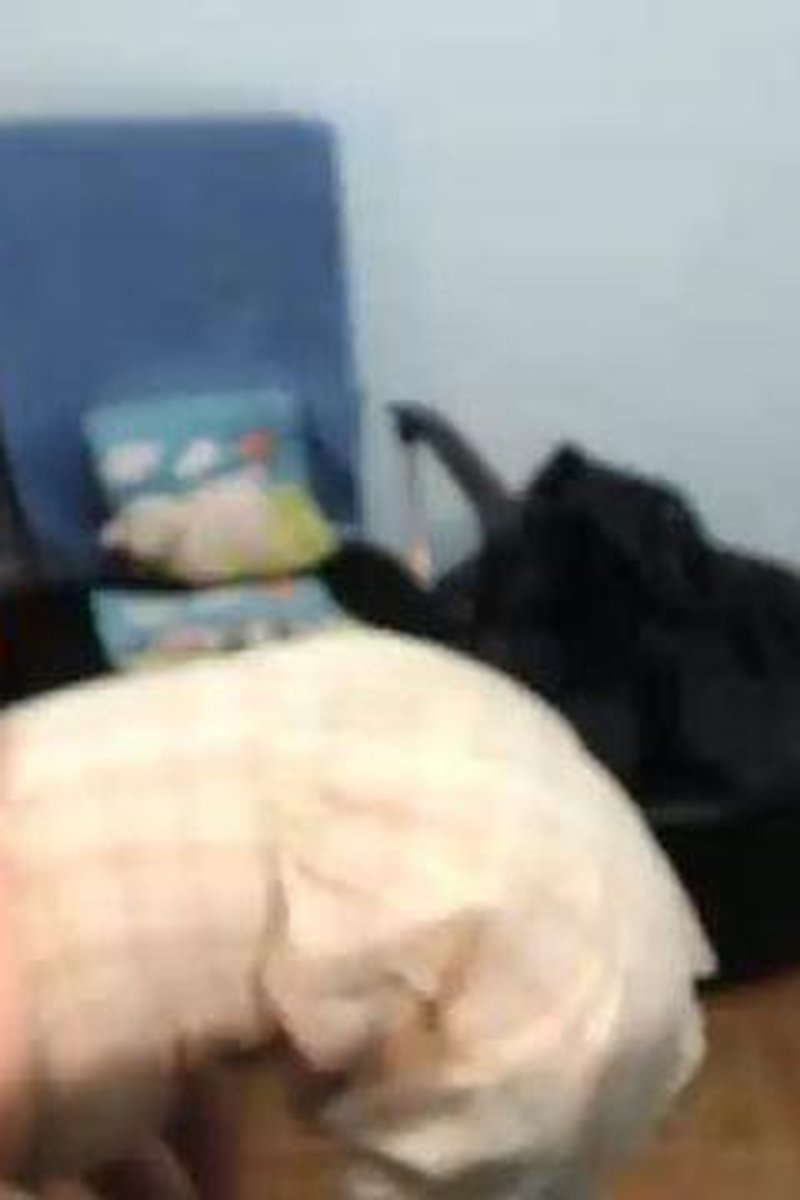 Pee Fun - Screenshot 1 of 4 - Peefetish