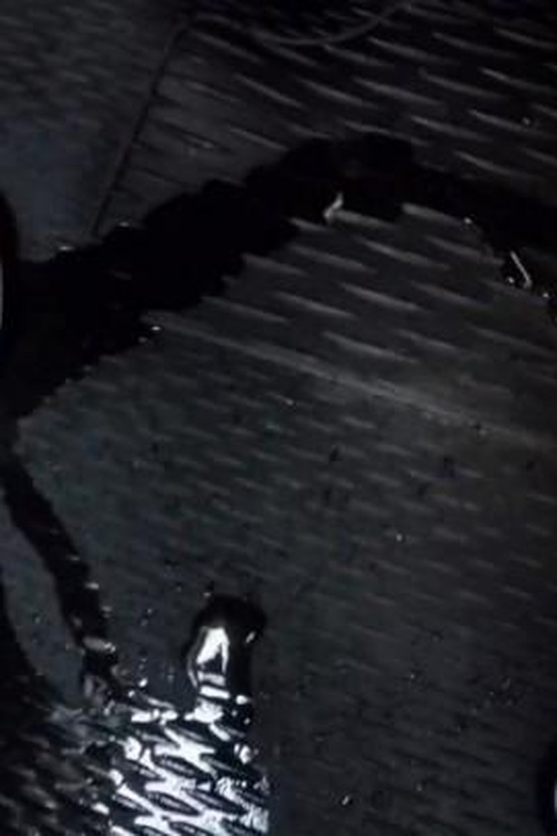 Step-Mom Wetting Her Jeans And Drivers Seat - Screenshot 1 of 4 - Foot Fetish