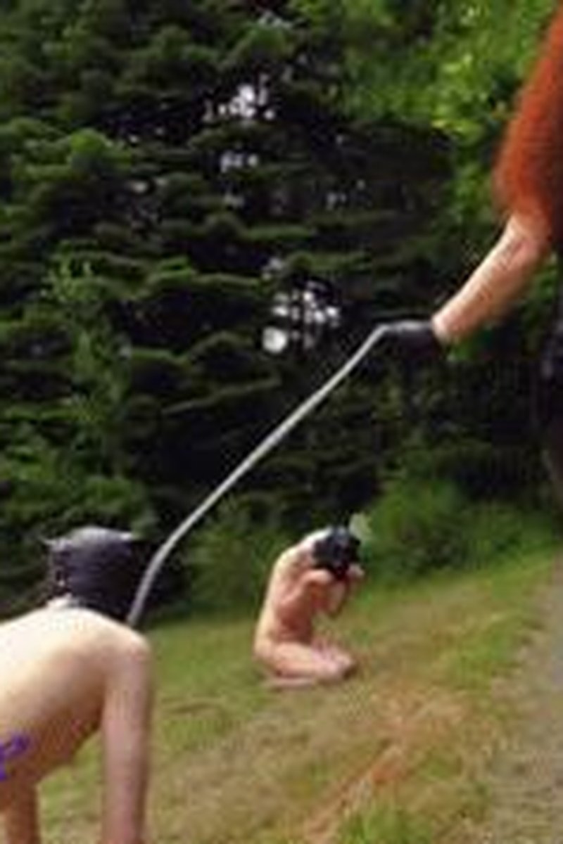 Mistress Lady Renee 2 Puppies Mp4 - Screenshot 1 of 4 - BDSM
