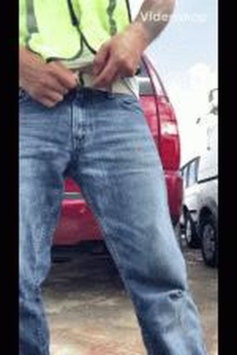 Pi$$ Compilation - Screenshot 1 of 4 - Alpha Male