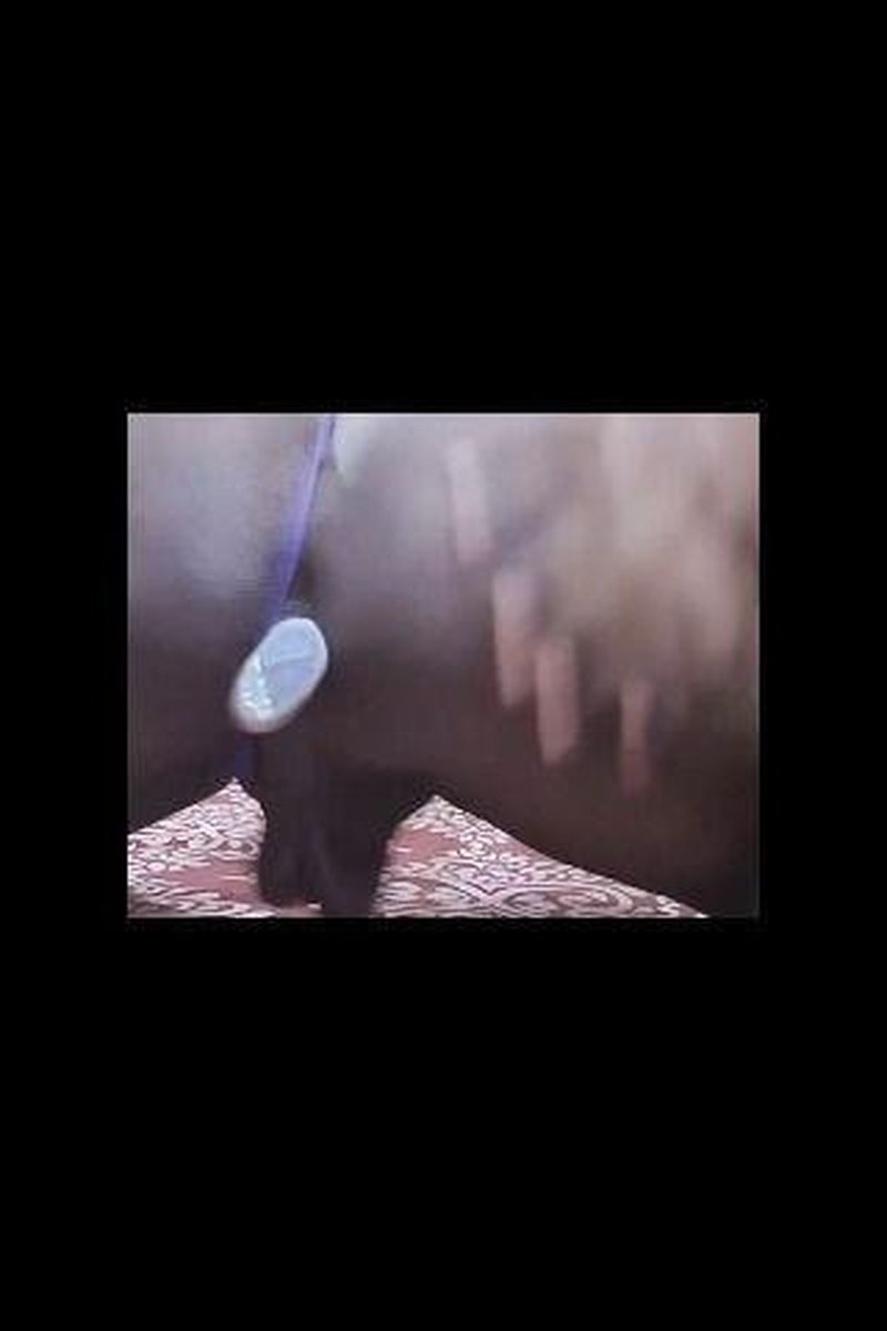 Butt Plug Obsession - Screenshot 1 of 4 - Ass To Mouth