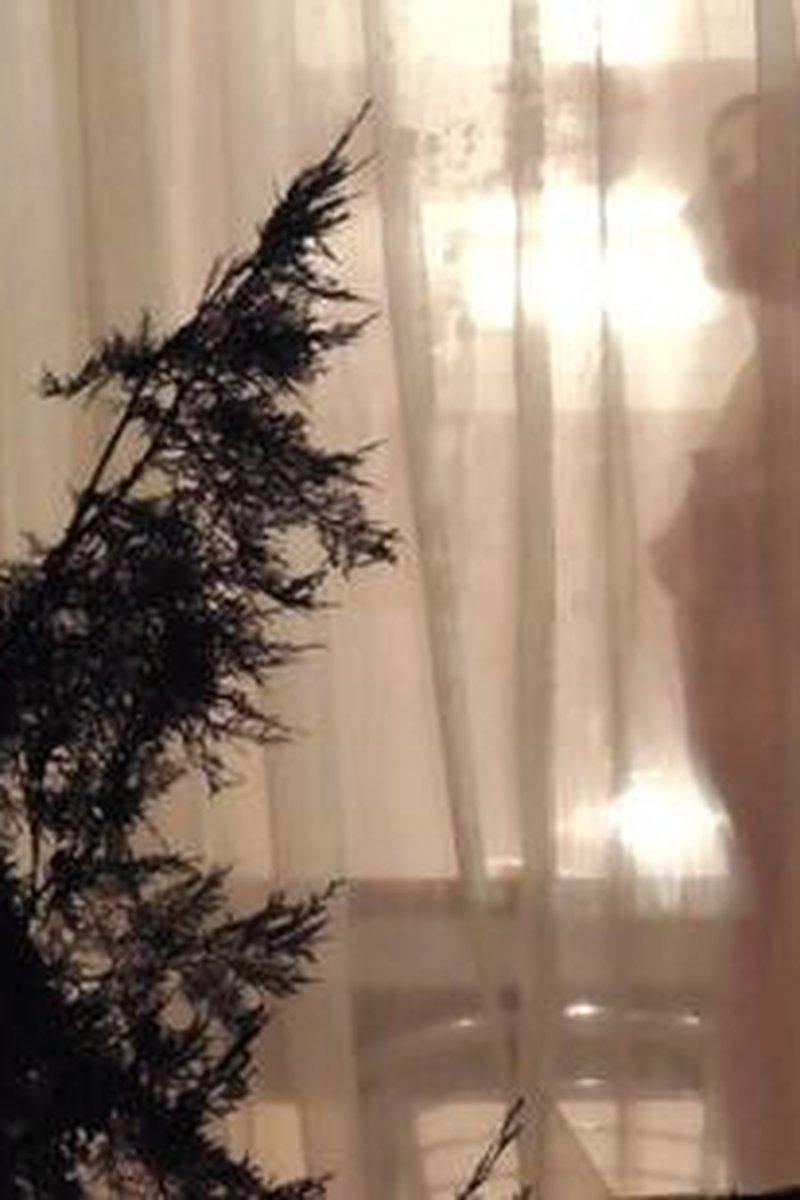 Peeping Tom - Screenshot 1 of 4 - Flashing