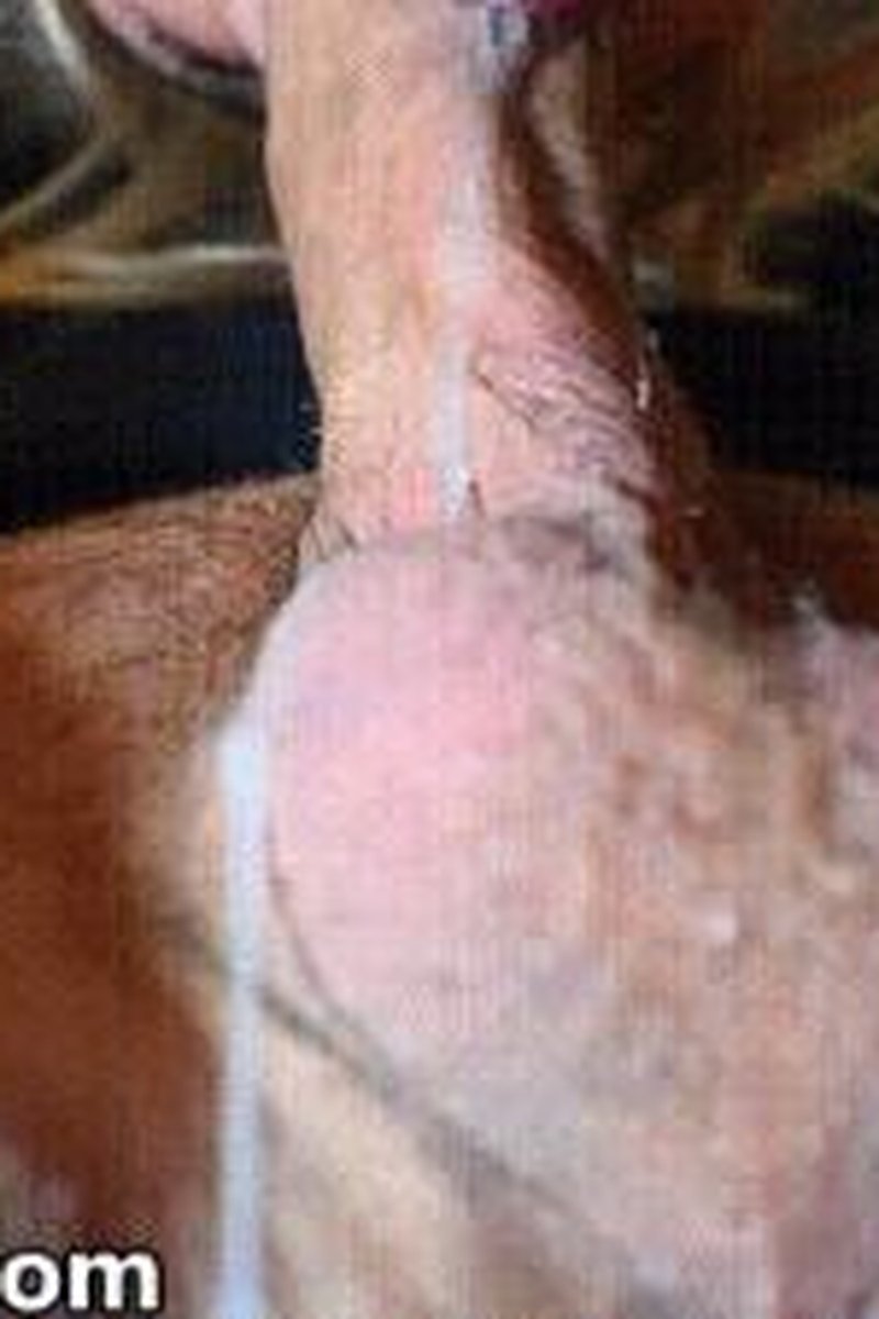 Deep Blowjob And Cum Gulping Twice - Screenshot 1 of 4 - Blowjob
