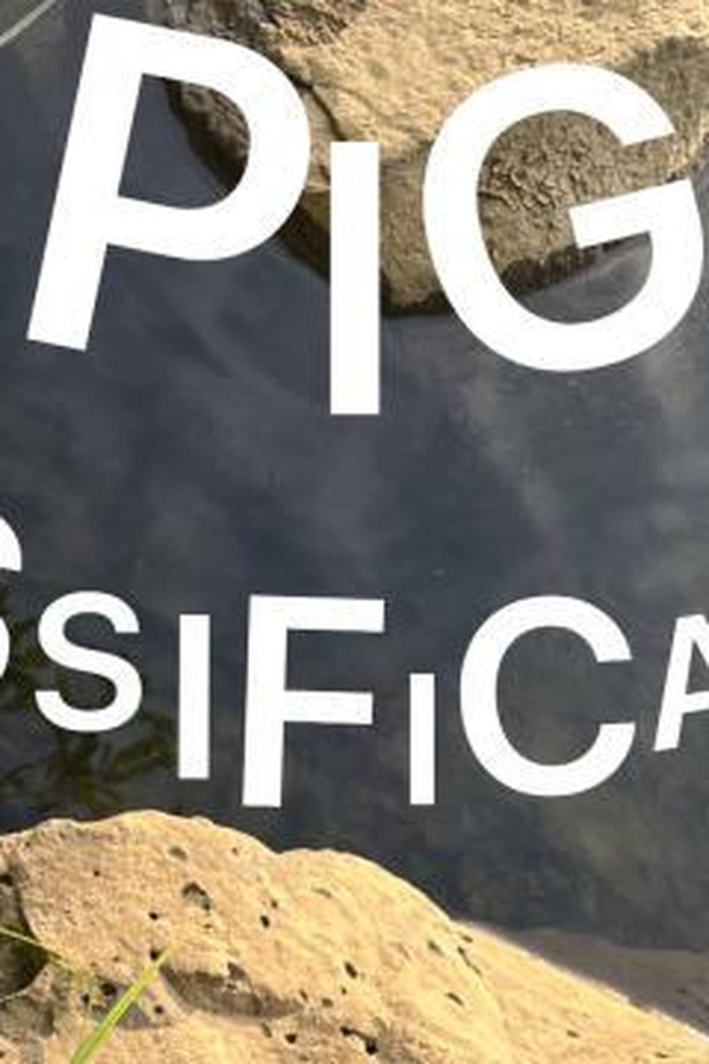 Pig Sissification - Screenshot 1 of 4 - Audio Erotica