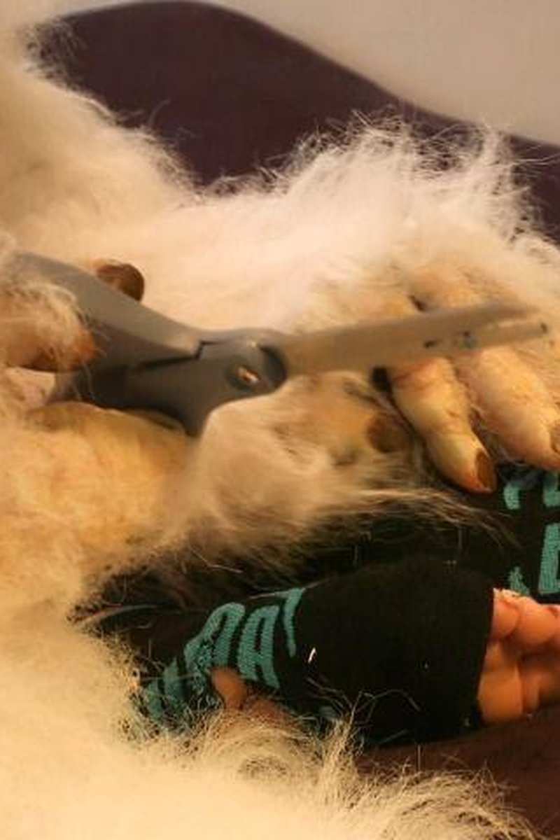 Sock Monster - Screenshot 1 of 4 - Clothing Destruction / Removal