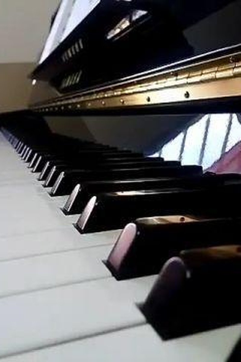 Music - Screenshot 1 of 4 - Musician