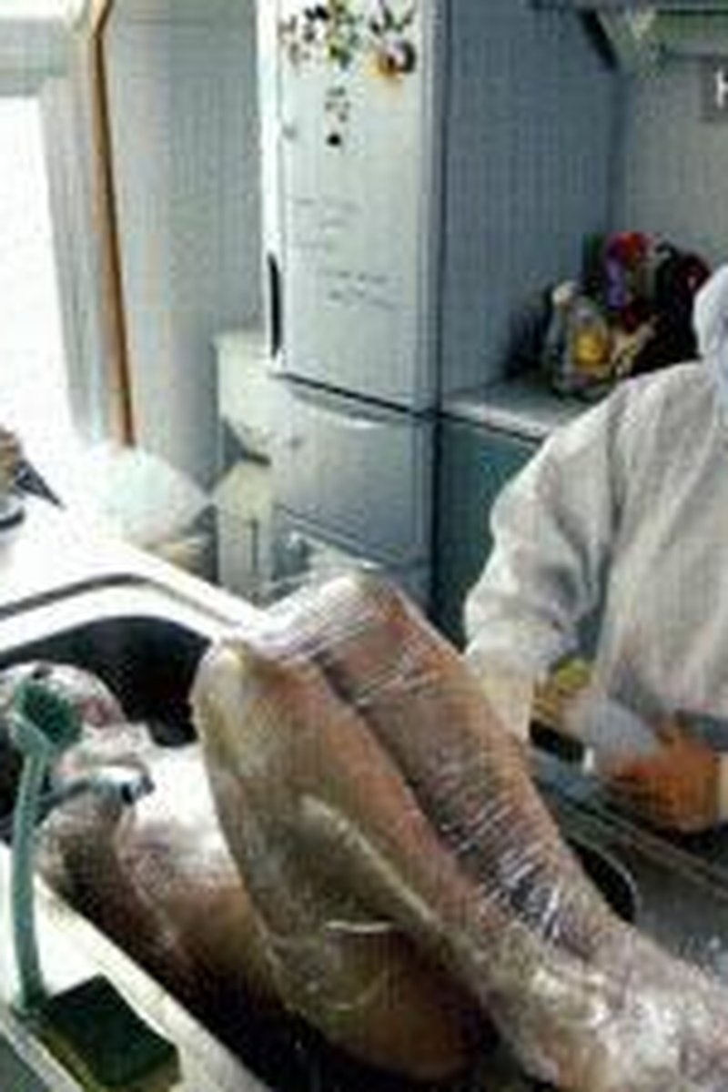 Mummification In The Kitchen - Screenshot 1 of 4 - Apron