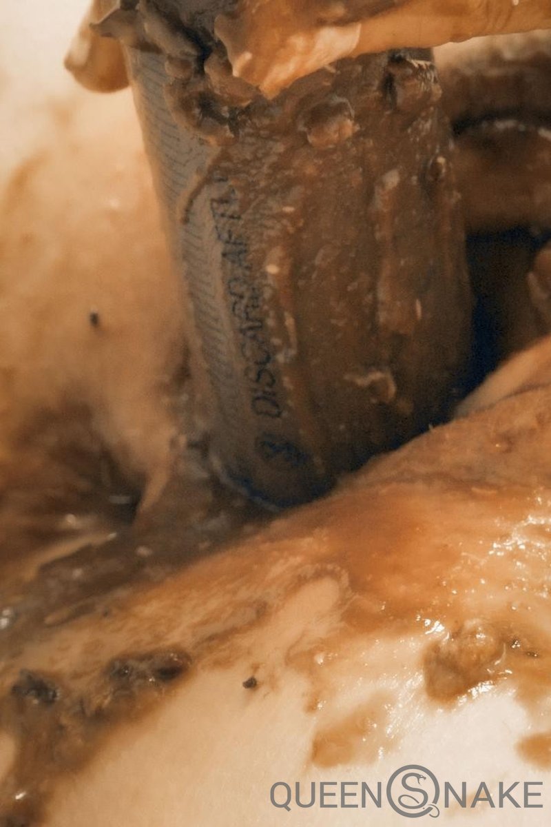 Filthy Maid - Screenshot 1 of 4 - Bathroom