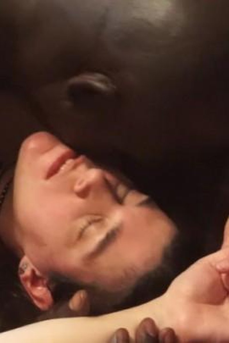 Hooked On BBC - Screenshot 1 of 4 - Amateur
