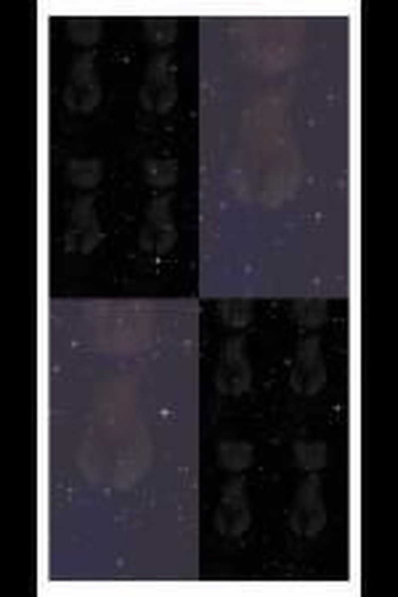 Feedback - Screenshot 1 of 4 - Big Tits