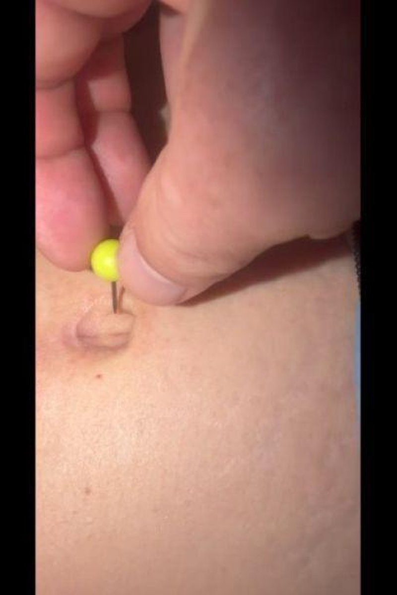 Bellybutton Pushpin - Screenshot 1 of 4 - Belly Fetish