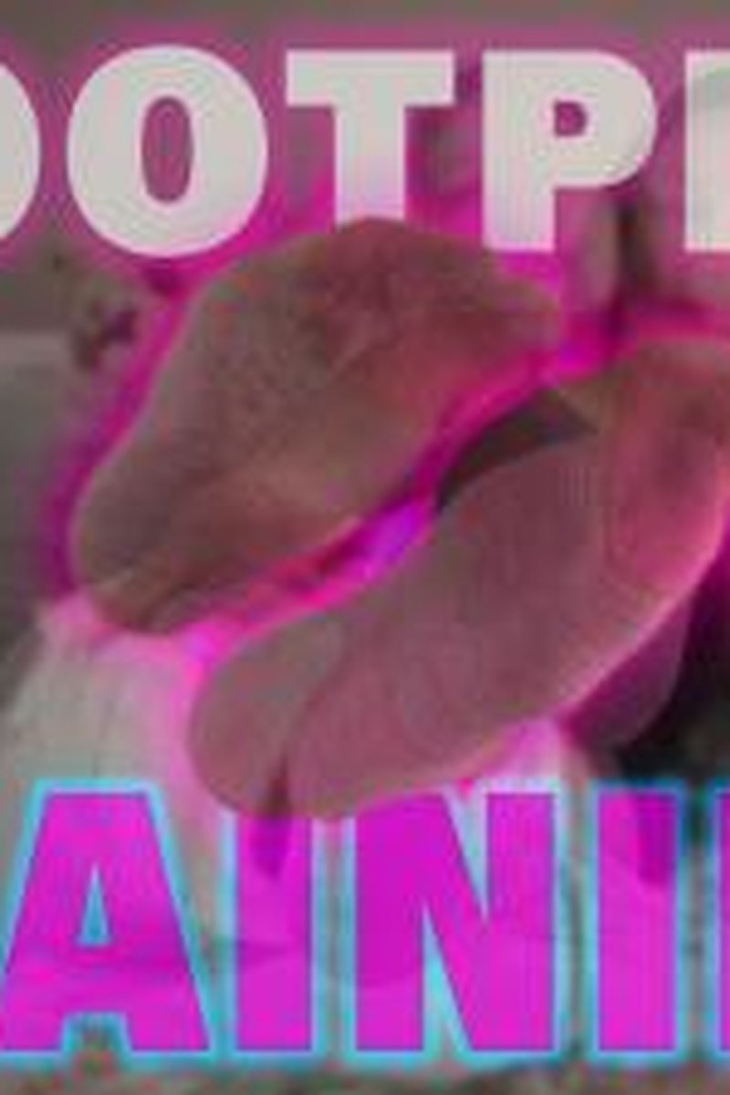 Footpig Training - Screenshot 1 of 4 - Findom