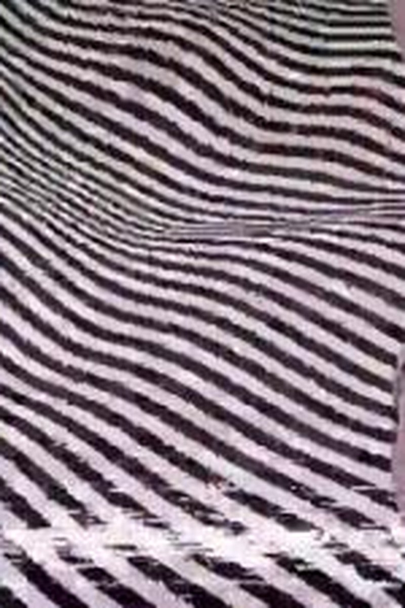 Never Stop - Screenshot 1 of 4 - Broken