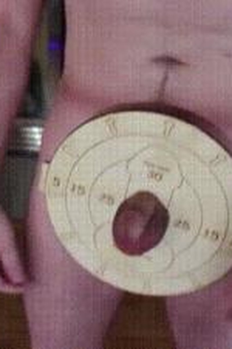 Nerf Target Practice - Screenshot 1 of 4 - BDSM