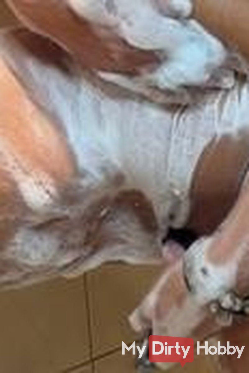 Shower Before the Date - Screenshot 1 of 4 - Schmuse Milf