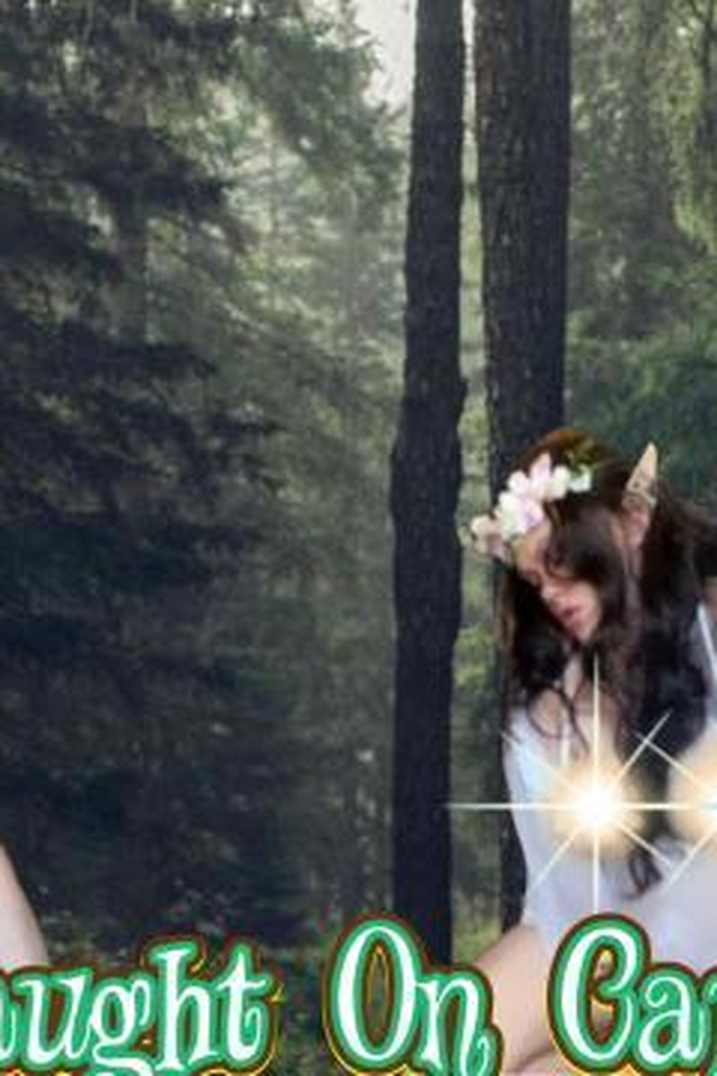 Elf Caught On Camera - Screenshot 1 of 4 - Brown Hair