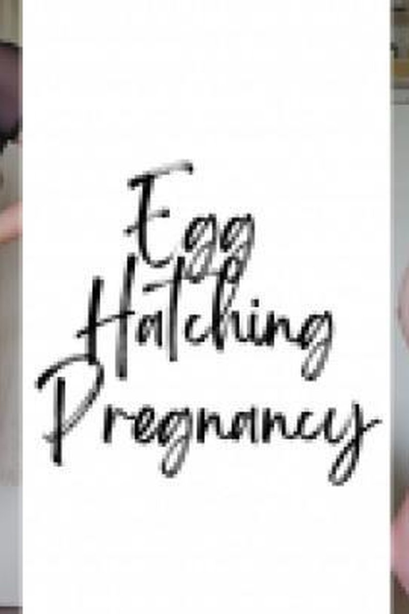 Egg Hatching Pregnancy - Screenshot 1 of 4 - Belly Fetish