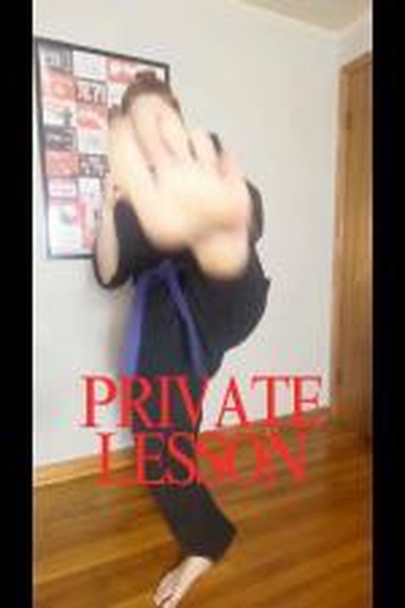 Private Lesson - Screenshot 1 of 4 - Action & Fighting