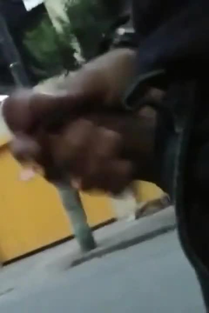 Maximum Risk - Screenshot 1 of 4 - BBW