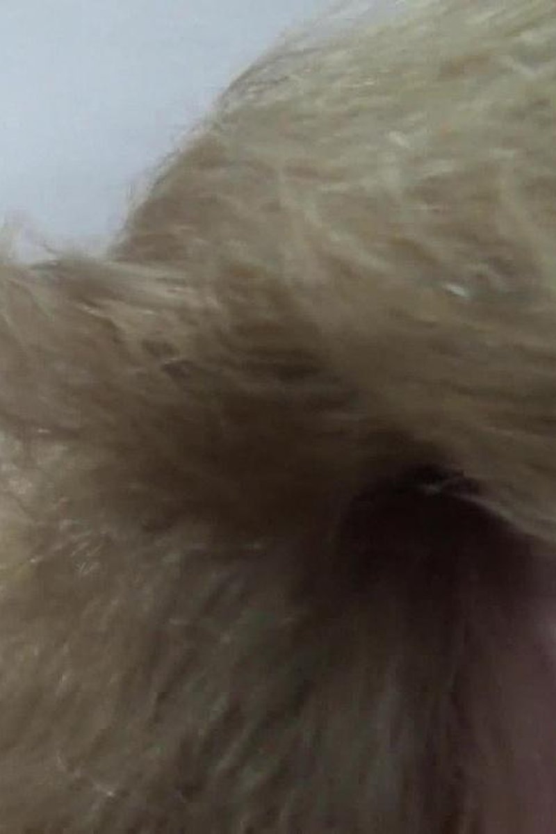 Suzie Sucking Boobs POV - Screenshot 1 of 4 - Suzie Q Aka Suzie 44k