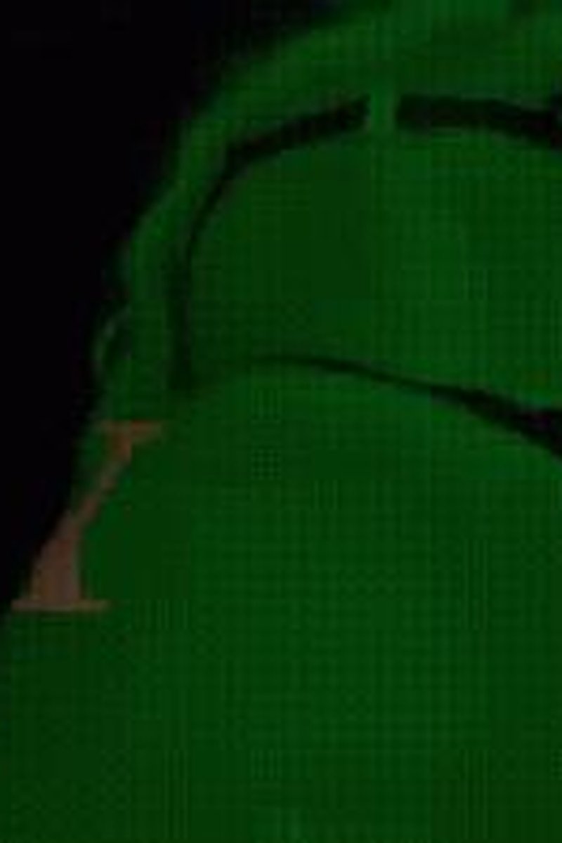 Brainless Puppet - Screenshot 1 of 4 - Broken