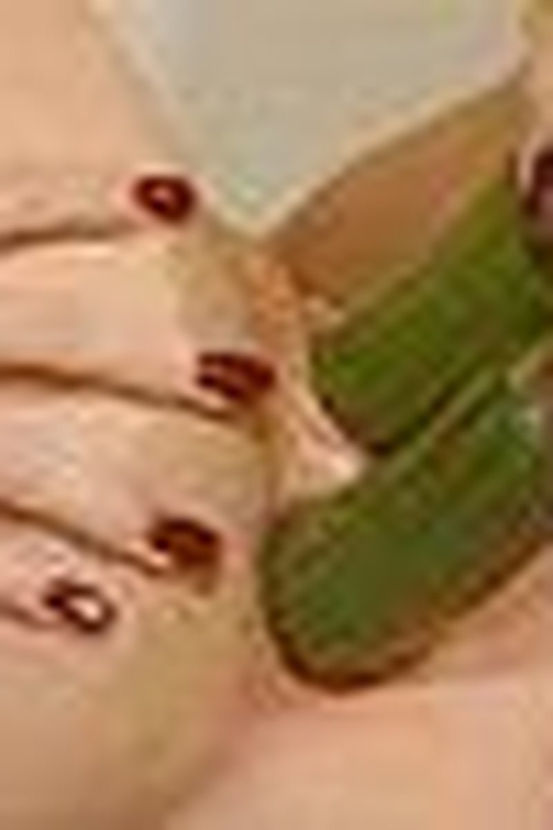 Double Veg Insertion - Screenshot 1 of 4