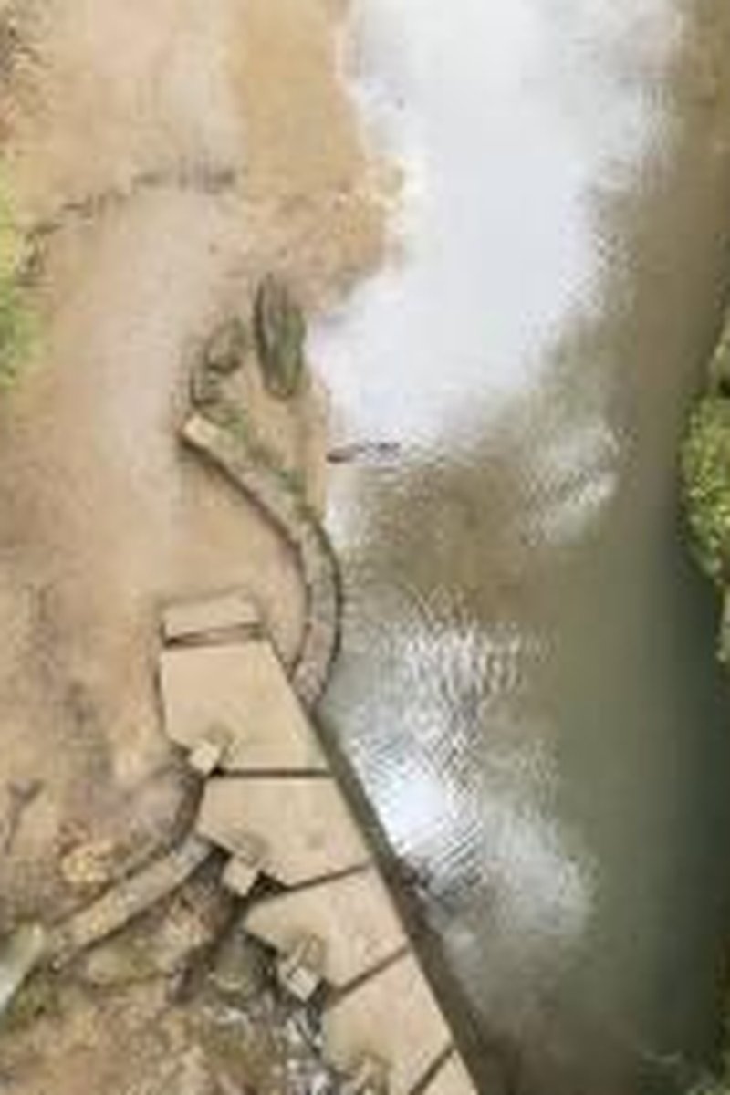 Librarian - Screenshot 1 of 4 - Allowance