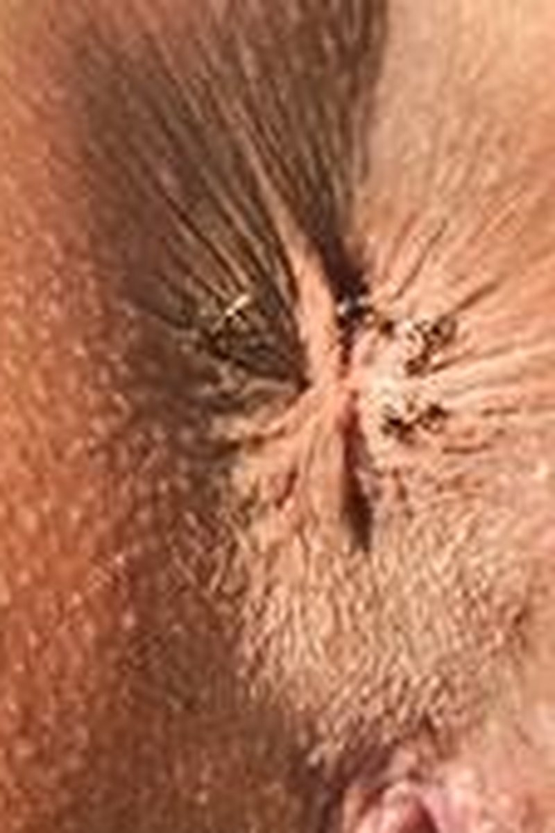 Tanitant - Screenshot 1 of 4 - Ants