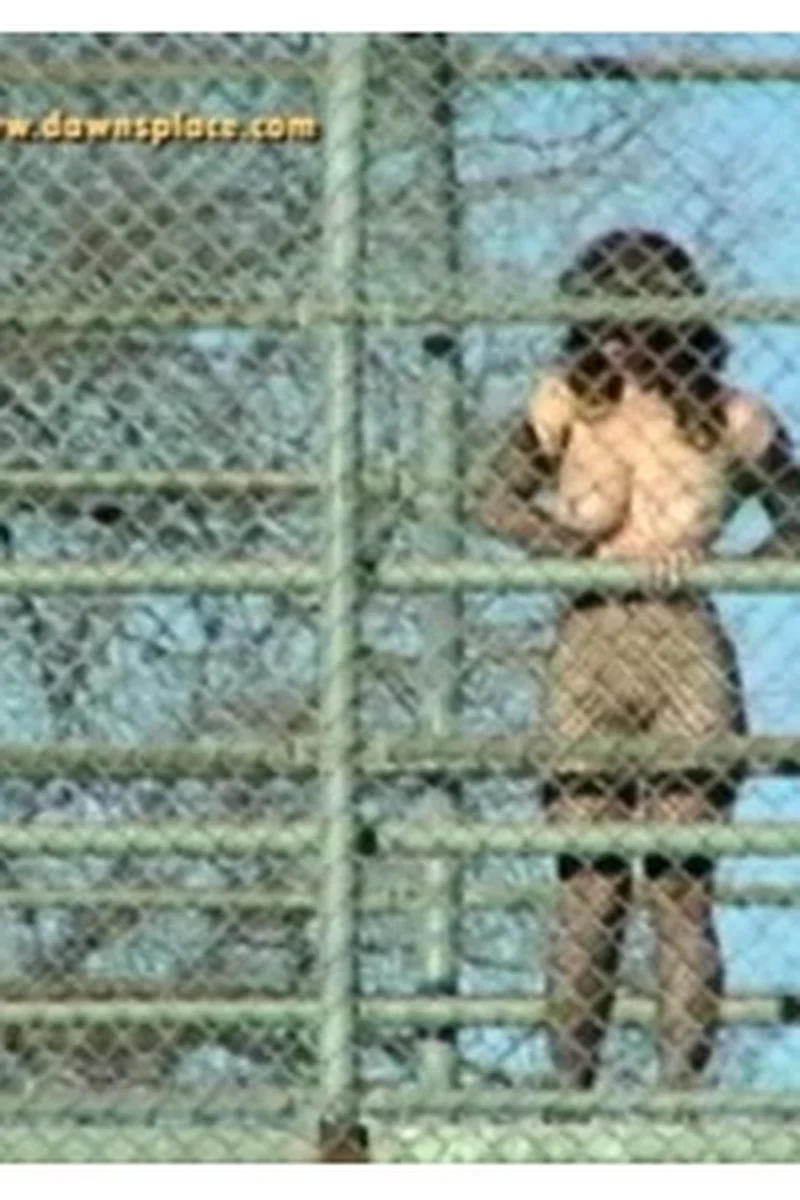 Overpass - Screenshot 1 of 4