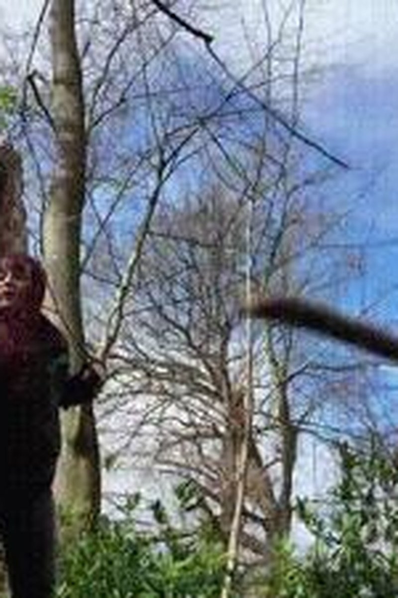 Woodland Caning - Screenshot 1 of 4 - Caning Fantasy