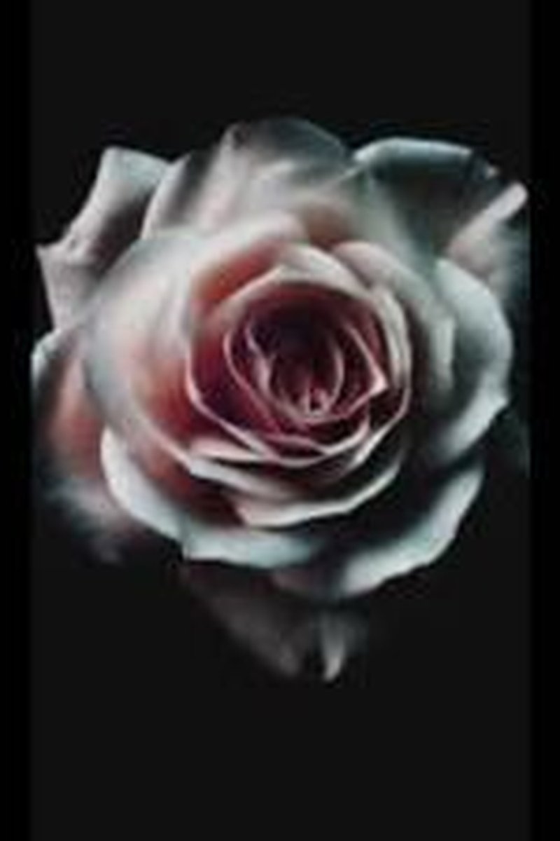 Pool Time - Screenshot 1 of 4 - Foot Fetish