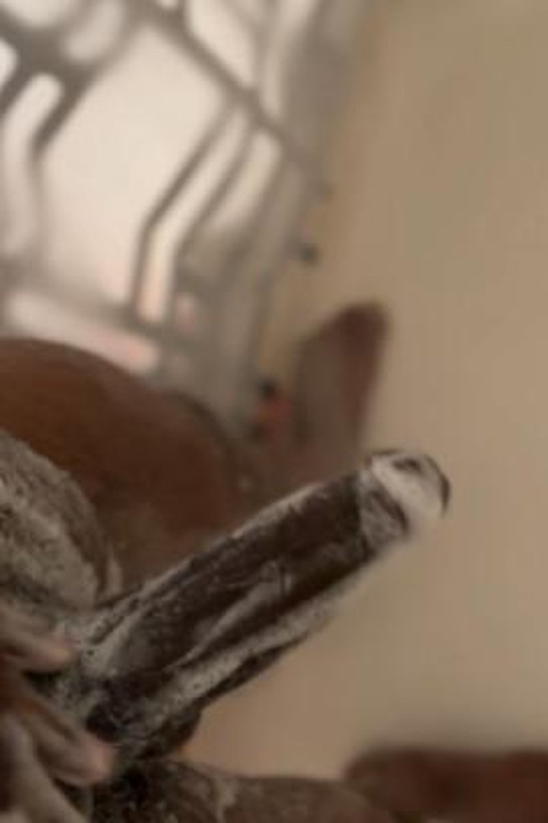 Streamy Shower Session - Screenshot 1 of 4 - BBC