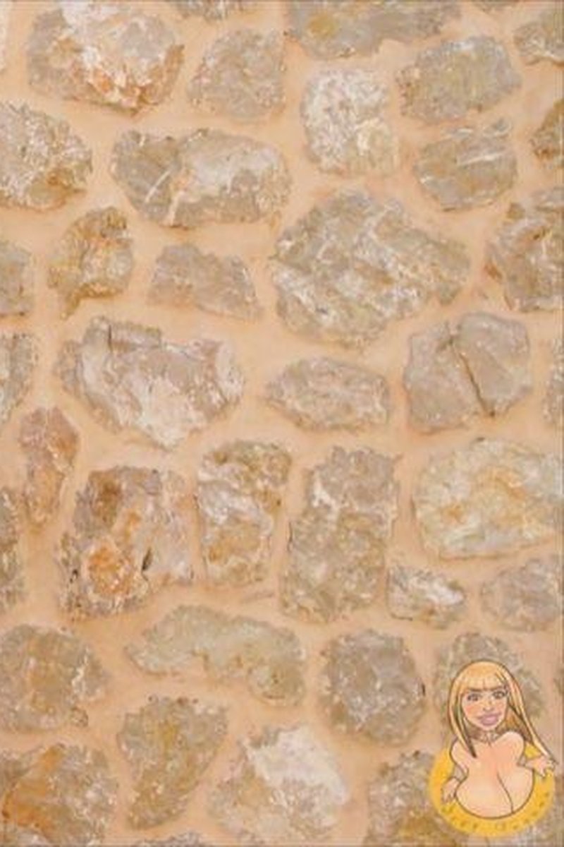 Stone Wall - Screenshot 1 of 4 - Huge Tits